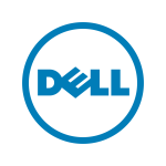 DELL DELL